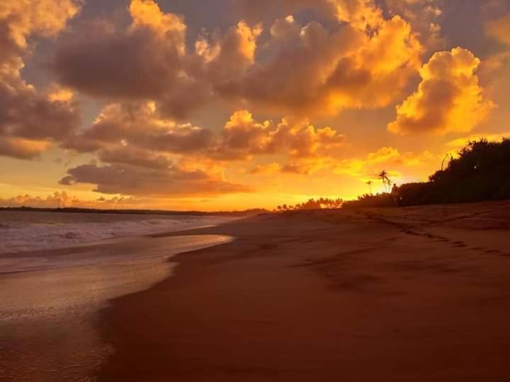Star Sun Homestay タンガラ エクステリア 写真